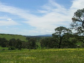 View from Celestine House B&B